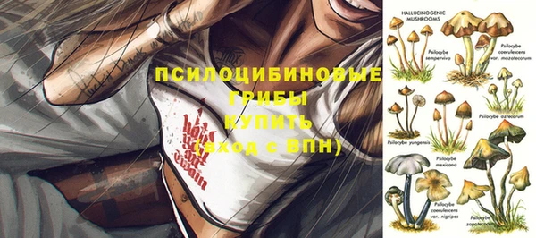 mdpv Алексин