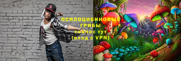 соль курить ск Алексеевка