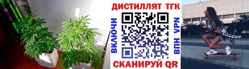 Дистиллят ТГК концентрат  omg   Канаш 