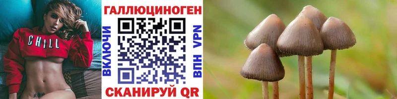 Галлюциногенные грибы мицелий Канаш