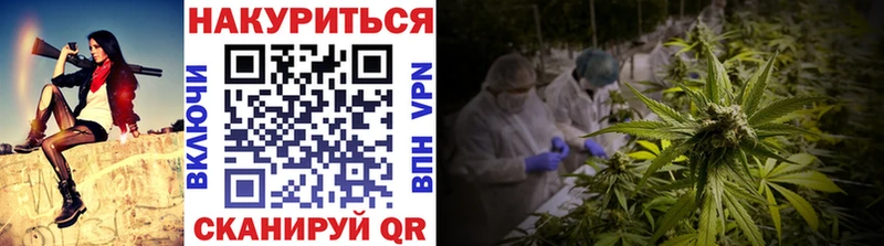 Каннабис индика  ссылка на мегу ССЫЛКА  Канаш 
